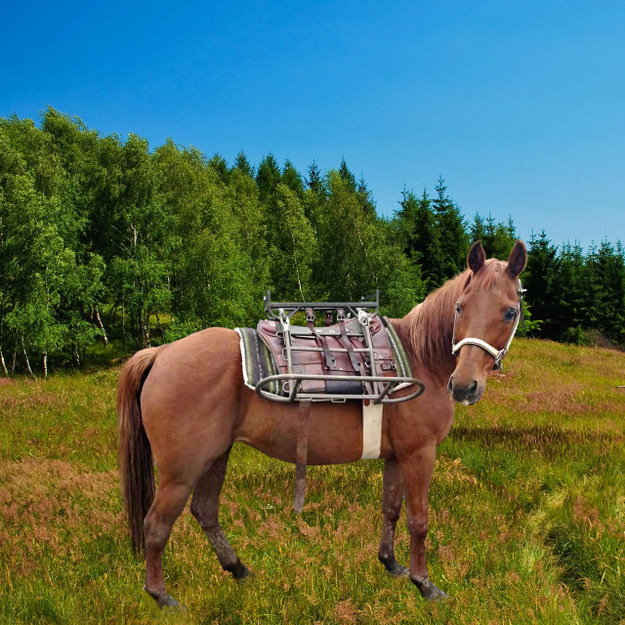 Pack horse wearing pack saddle