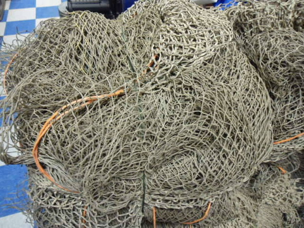 10′ x 50′ Authentic Fish Net