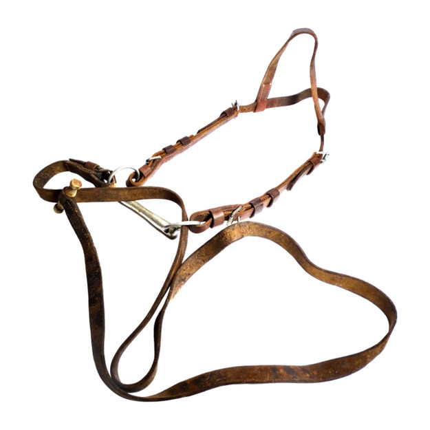 Cavalry Horse Bridle and Bit